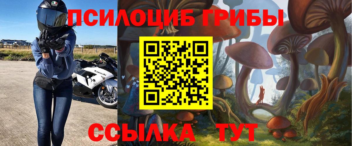 Псилоцибиновые грибы Psilocybe Фурманов