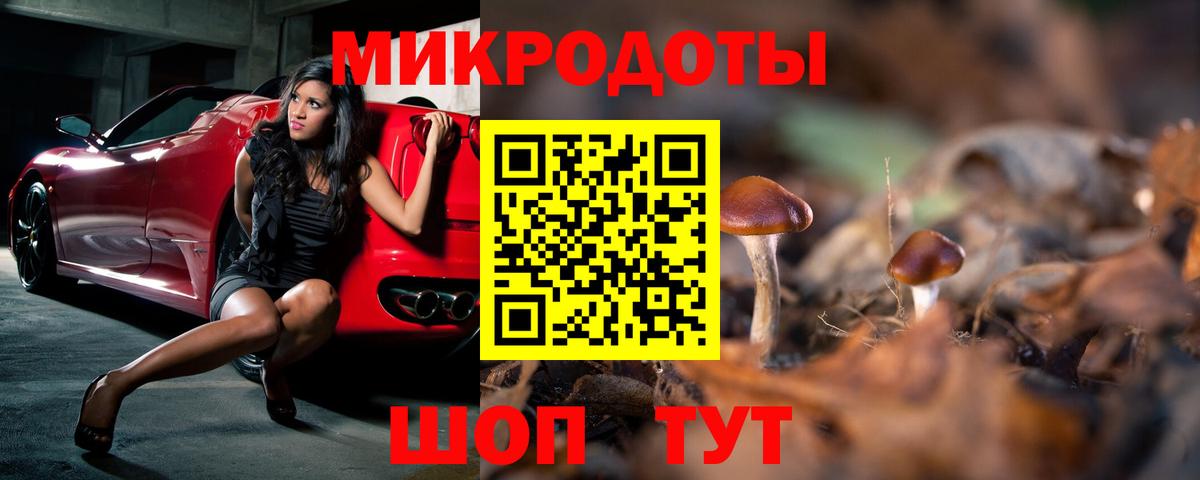 Фурманов  Галлюциногенные грибы прущие грибы  Вход с VPN 
